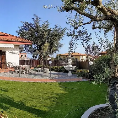 Volpe Dell'etna