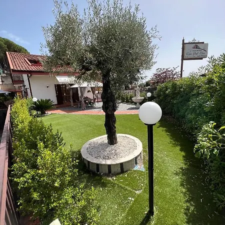 Volpe Dell'etna ניקולוסי