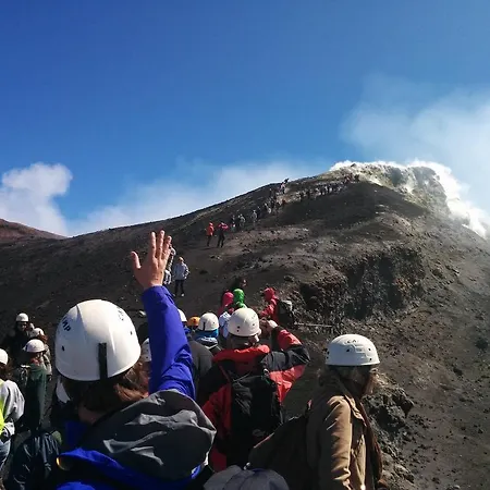 Volpe Dell'etna * ניקולוסי