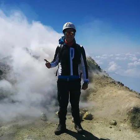 Volpe Dell'etna