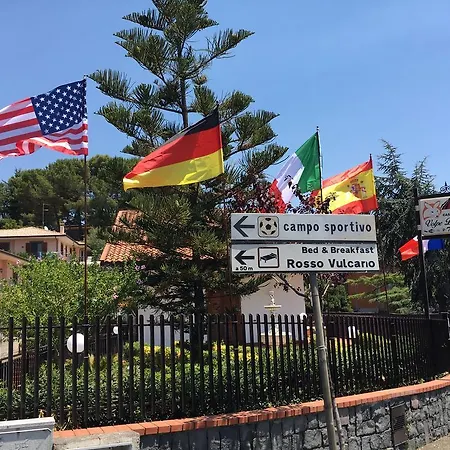 Volpe Dell'etna *